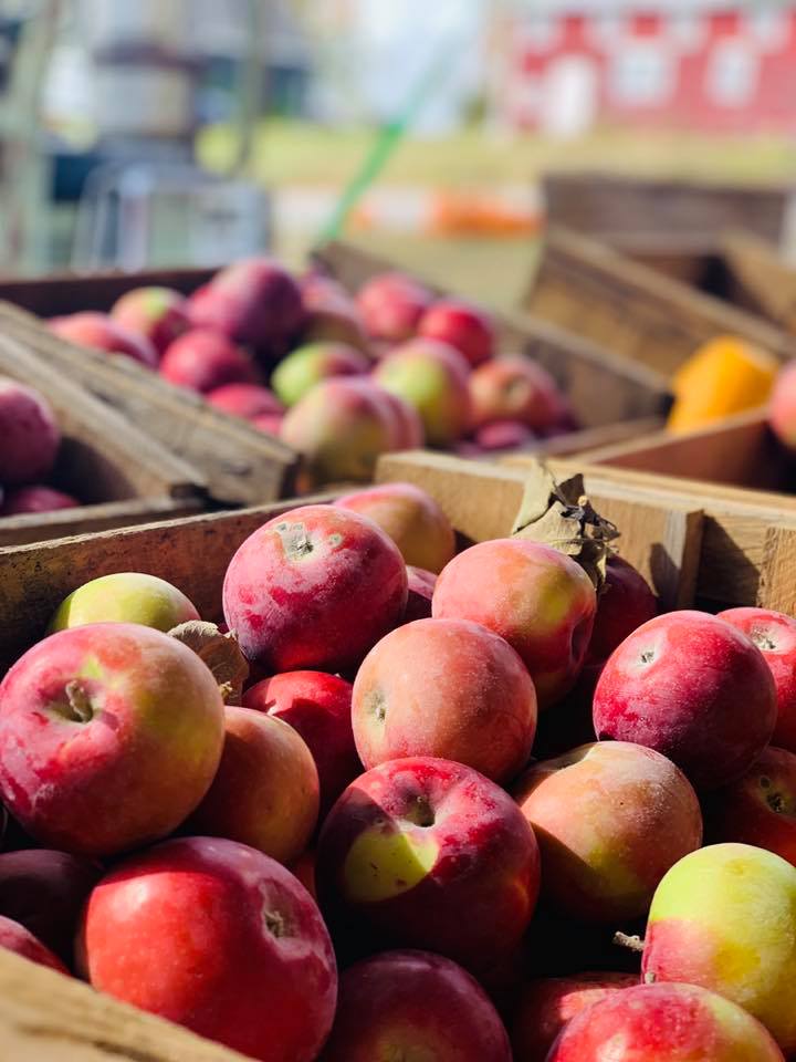 Apple Acres Farm