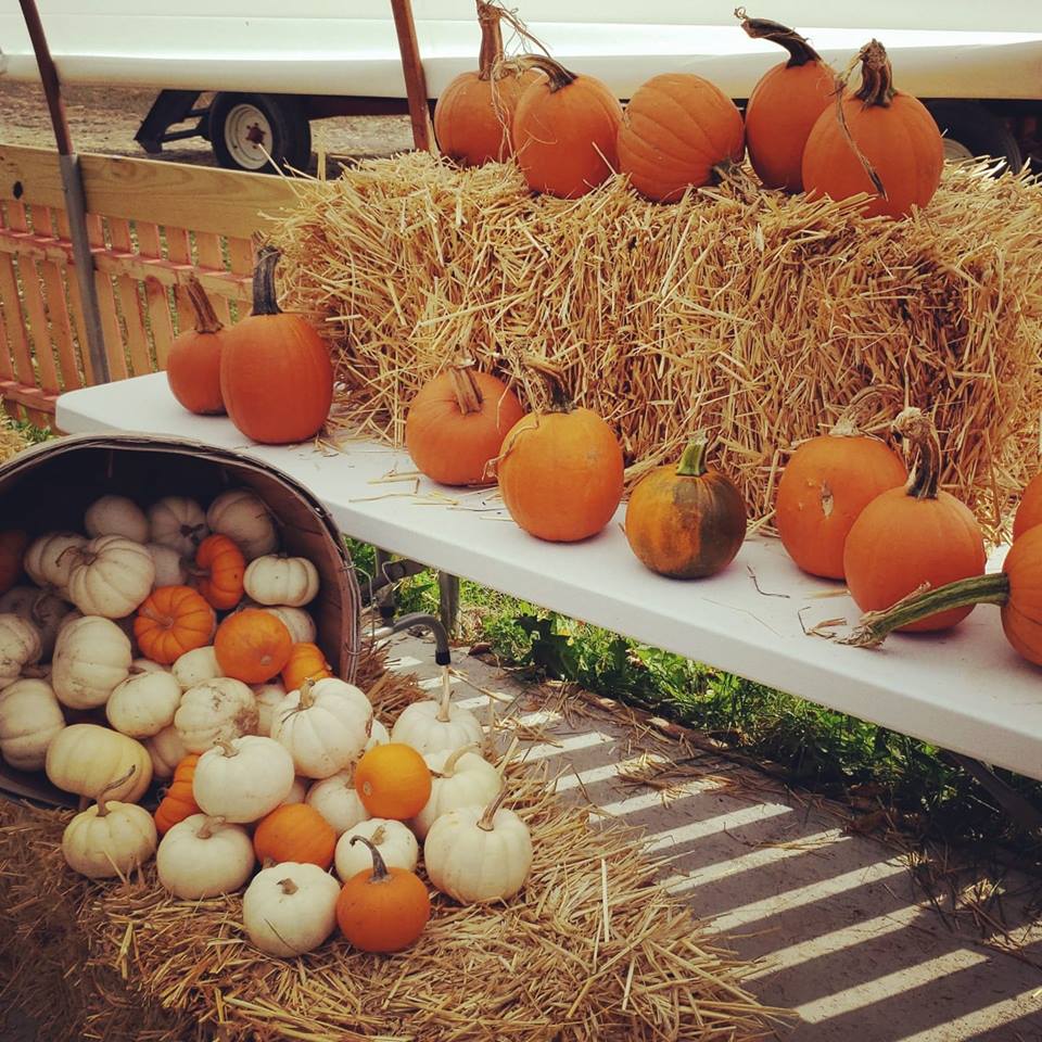 Pumpkin Valley Farm