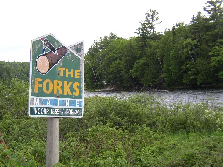 Forks