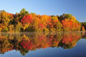 Fall Foliage on the Lake