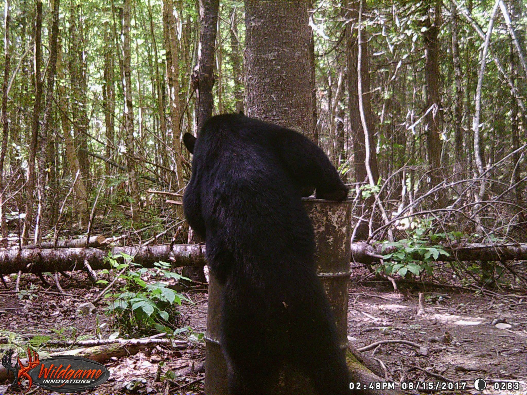 Front Ridge Guide Service