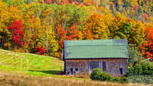 Aroostook Barn