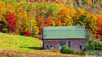 Aroostook Barn