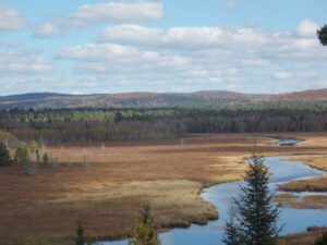 Nature View of Aurora Maine