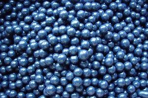 Blueberry Basket