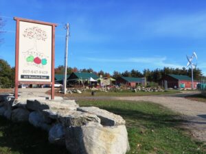 Pietree Orchard in Sweden