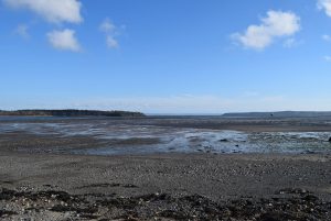 Photo of the outlook at Mowry Beach
