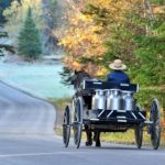 Amish buggy