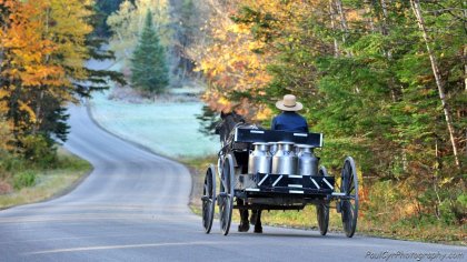 Amish buggy