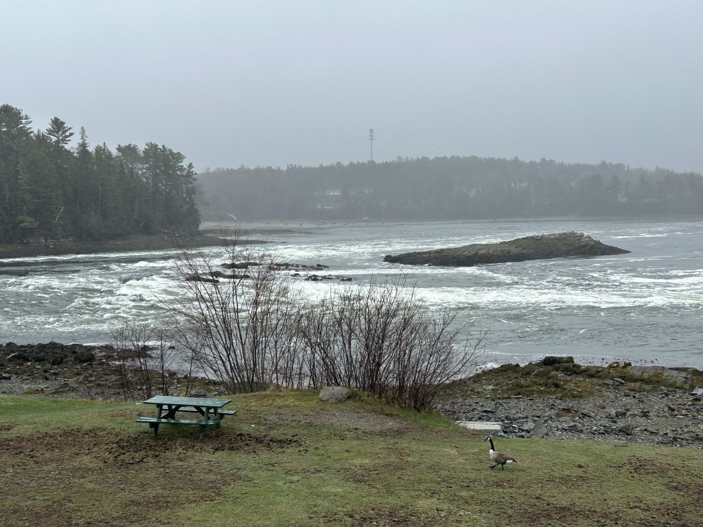 Tidal Falls Preserve
