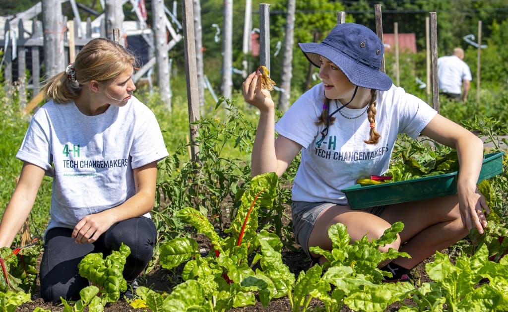 A photo of two 4-H members in a garden